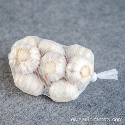 Supply Garlic New Season - precio barato